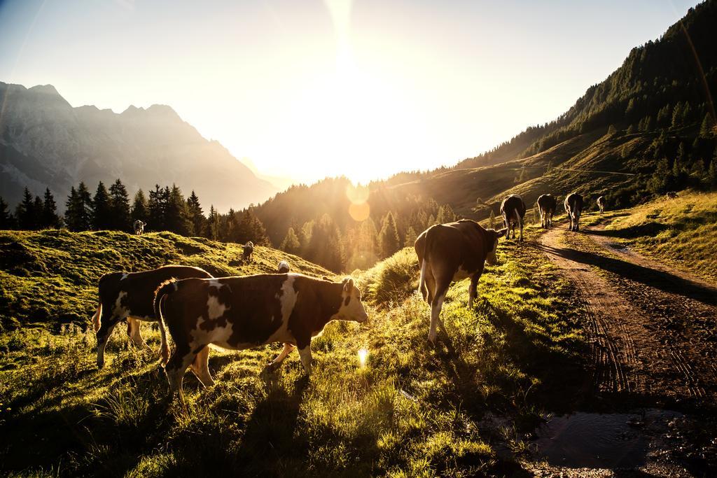 Alpin Lodge Leogang By Alpin Rentals Екстериор снимка